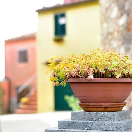 Farm stay Castello Delle Fornaci - Private Jacuzzi Arcidosso
